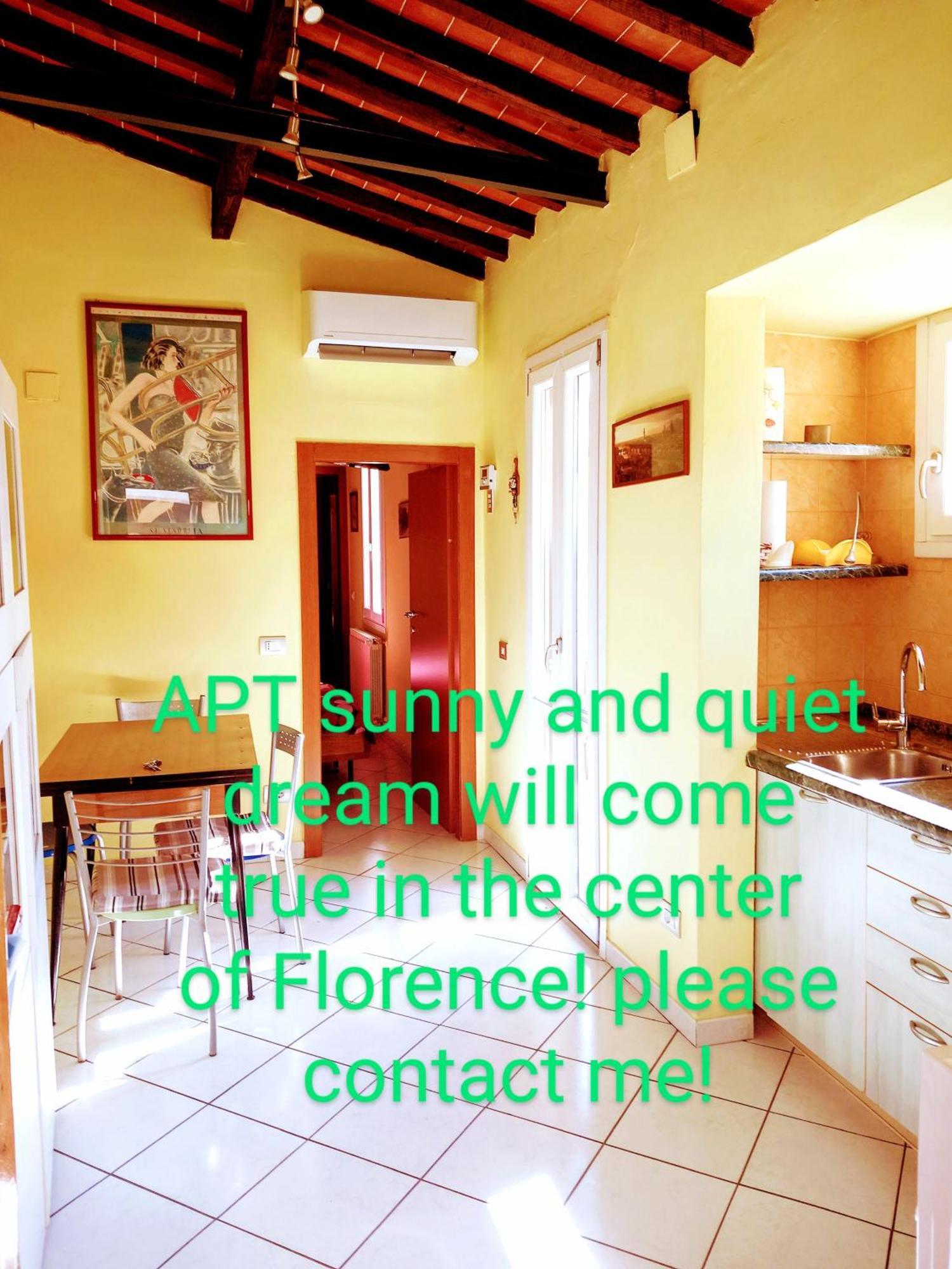 פירנצה Apt Bright, Quiet! In The Center. מראה חיצוני תמונה